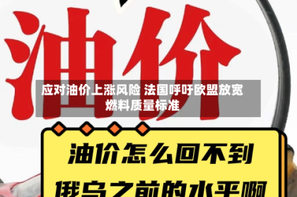 应对油价上涨风险 法国呼吁欧盟放宽燃料质量标准