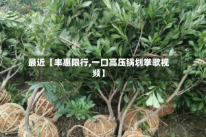最近【丰惠限行,一口高压锅划拳歌视频】
