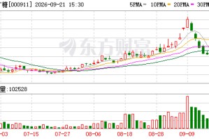 *ST广糖发布董事会选举公告 孙文思当选公司董事长