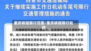 重庆桥隧限行范围/重庆桥隧限行处罚