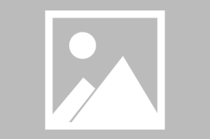 关于【嘉禾限行区域,广州外地车白云区嘉禾望岗限行吗】