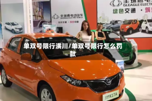 单双号限行潢川/单双号限行怎么罚款
