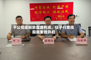 子公司造假致虚增利润，任子行受损股民索赔开启