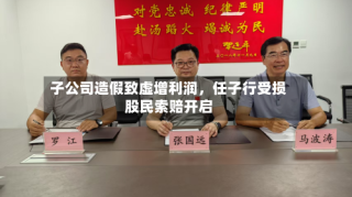 子公司造假致虚增利润，任子行受损股民索赔开启