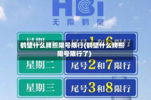 鹤壁什么牌照限号限行(鹤壁什么牌照限号限行了)