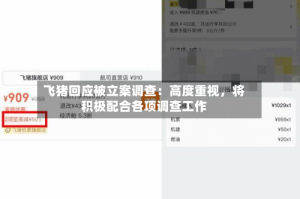 飞猪回应被立案调查：高度重视，将积极配合各项调查工作