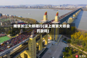 南京长江大桥限行(误上南京大桥会罚款吗)
