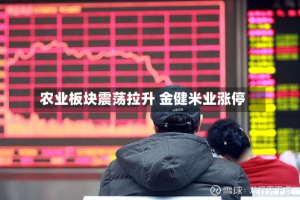 农业板块震荡拉升 金健米业涨停