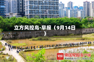 立方风控鸟·早报（9月14日）