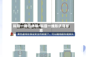 科目一限行诱导/科目一线形诱导标志