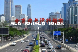 海口皮卡限行(海口皮卡限行政策)