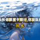 【队长你那属于限行,你是队长】