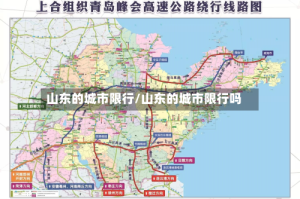 山东的城市限行/山东的城市限行吗