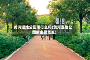 黄河湿地公园限行么吗(黄河湿地公园的主要景点)