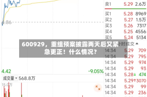 600929，重组预案披露两天后又紧急更正！什么情况？