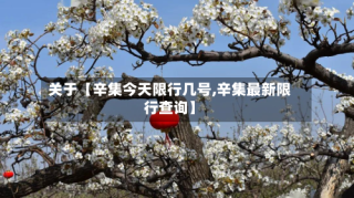 关于【辛集今天限行几号,辛集最新限行查询】