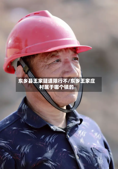 东乡县王家隧道限行不/东乡王家庄村属于哪个镇的-第1张图片