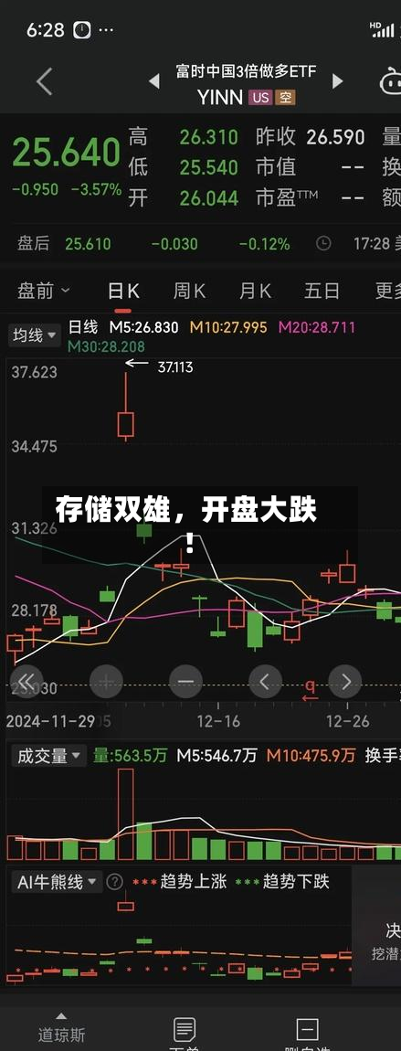存储双雄	，开盘大跌！-第2张图片