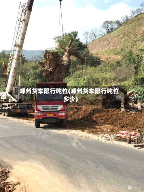 嵊州货车限行吨位(嵊州货车限行吨位多少)-第1张图片