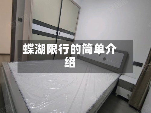 蝶湖限行的简单介绍-第1张图片