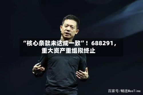 “核心条款未达成一致	”！688291，重大资产重组拟终止-第1张图片