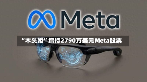 “木头姐”增持2790万美元Meta股票-第1张图片