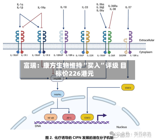 富瑞：康方生物维持“买入”评级 目标价226港元-第1张图片