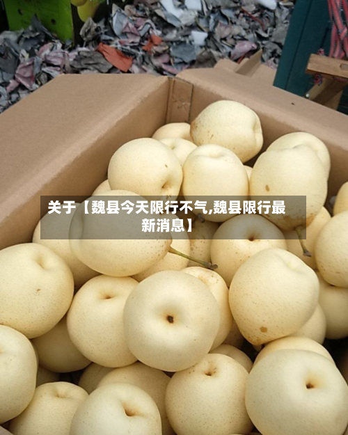关于【魏县今天限行不气,魏县限行最新消息】-第2张图片