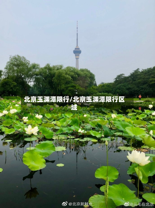 北京玉渊潭限行/北京玉渊潭限行区域-第1张图片