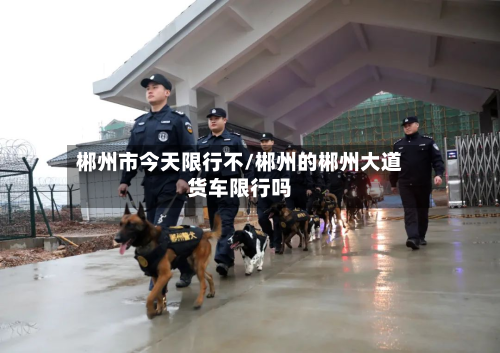 郴州市今天限行不/郴州的郴州大道货车限行吗-第1张图片