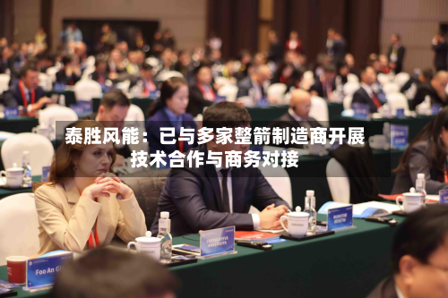 泰胜风能：已与多家整箭制造商开展技术合作与商务对接-第1张图片