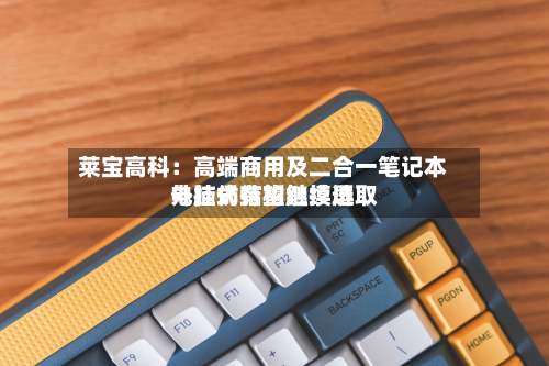 莱宝高科:高端商用及二合一笔记本电脑仍有望继续选取
外挂式结构触摸屏-第2张图片