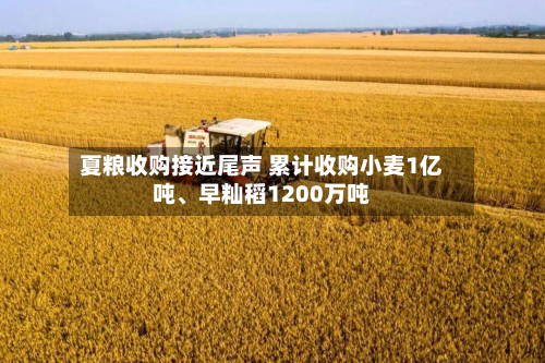 夏粮收购接近尾声 累计收购小麦1亿吨	、早籼稻1200万吨-第1张图片