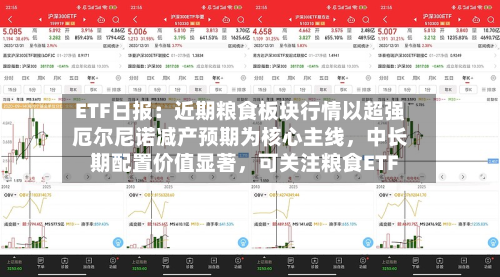 ETF日报：近期粮食板块行情以超强厄尔尼诺减产预期为核心主线，中长期配置价值显著，可关注粮食ETF-第2张图片
