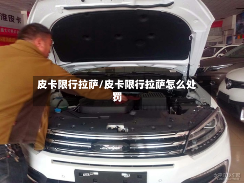 皮卡限行拉萨/皮卡限行拉萨怎么处罚-第2张图片