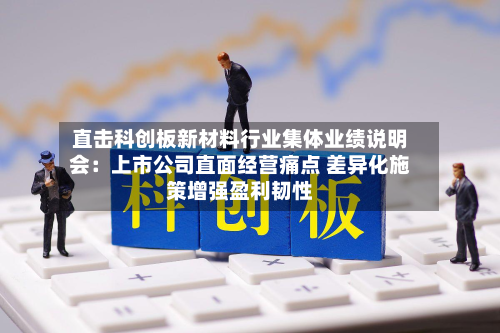 直击科创板新材料行业集体业绩说明会:上市公司直面经营痛点 差异化施策增强盈利韧性-第1张图片