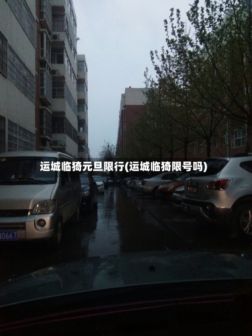 运城临猗元旦限行(运城临猗限号吗)-第2张图片