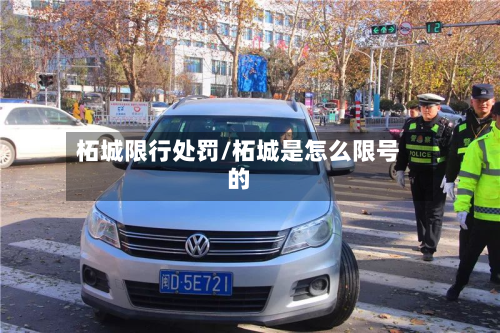 柘城限行处罚/柘城是怎么限号的-第1张图片