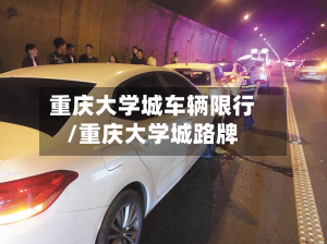 重庆大学城车辆限行/重庆大学城路牌-第3张图片