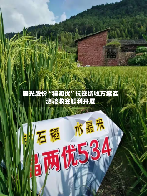 国光股份“稻知优”抗逆增收方案实测验收会顺利开展-第1张图片