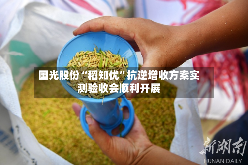 国光股份“稻知优”抗逆增收方案实测验收会顺利开展-第2张图片