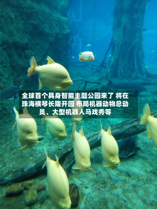 全球首个具身智能主题公园来了 将在珠海横琴长隆开园 布局机器动物总动员、大型机器人马戏秀等-第1张图片