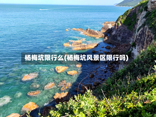 杨梅坑限行么(杨梅坑风景区限行吗)-第2张图片