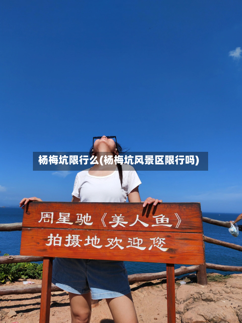 杨梅坑限行么(杨梅坑风景区限行吗)-第1张图片