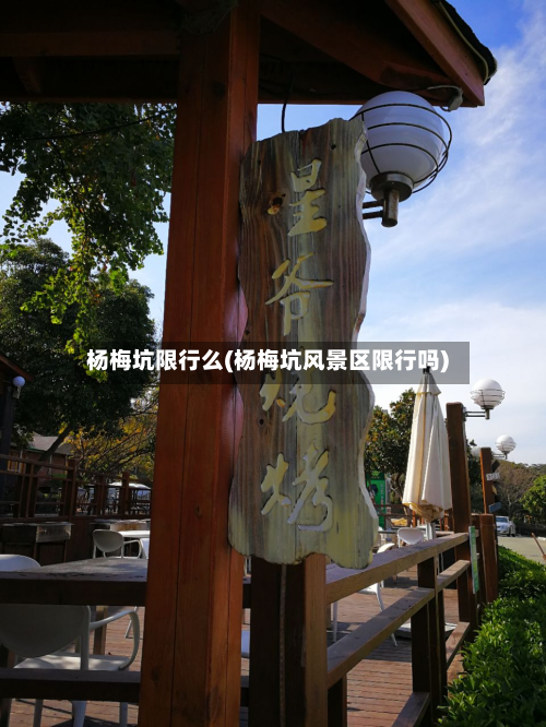 杨梅坑限行么(杨梅坑风景区限行吗)-第3张图片