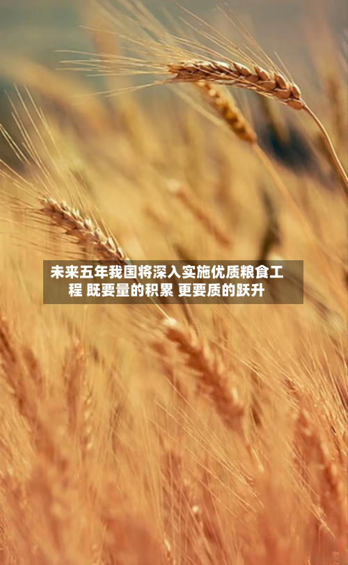 未来五年我国将深入实施优质粮食工程 既要量的积累 更要质的跃升-第1张图片