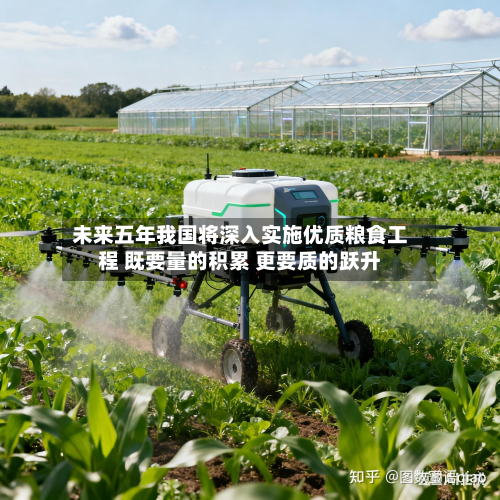 未来五年我国将深入实施优质粮食工程 既要量的积累 更要质的跃升-第2张图片