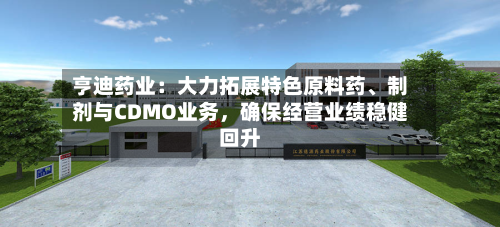 亨迪药业：大力拓展特色原料药	、制剂与CDMO业务	，确保经营业绩稳健回升-第1张图片
