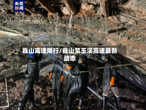 巍山高速限行/巍山至玉溪高速最新动态-第3张图片