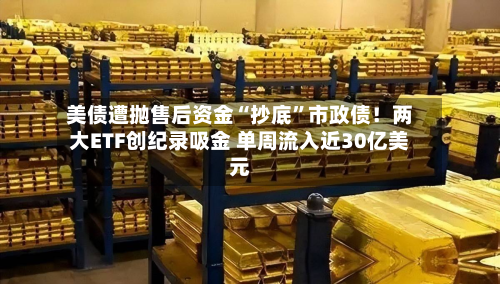 美债遭抛售后资金“抄底”市政债！两大ETF创纪录吸金 单周流入近30亿美元-第2张图片